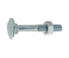 Boulon Japy tête bombée collet carré 6X60 boite de 100 Viswood