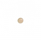 Capuchons orientables vis top roc beige bte 100 Ing fixations